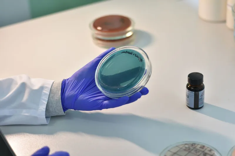 One Size Fits None: Why Generic Dexamethasone Timing May Be Working Against Your Unique Biology